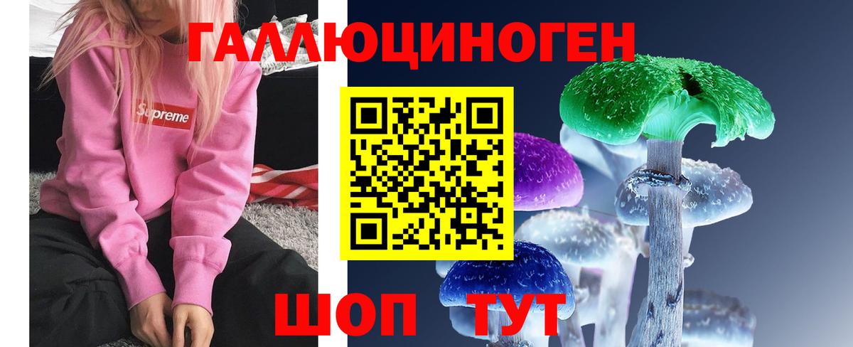 Псилоцибиновые грибы MAGIC MUSHROOMS  купить наркотик  Чебоксары  Псилоцибиновые грибы мицелий  Вход с VPN 