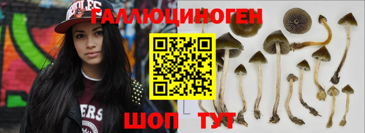 Галлюциногенные грибы ЛСД Чебоксары